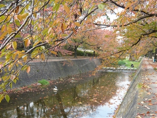 ファイル名: 1226762664P1060664R.jpg
ファイルサイズ: 103.4KB 1226762664P1060664R