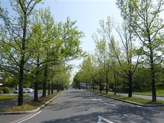 ファイル名: P1080432.jpg
ファイルサイズ: 93.1KB P1080432