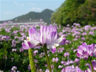 ファイル名: P1080519.jpg
ファイルサイズ: 70.3KB P1080519