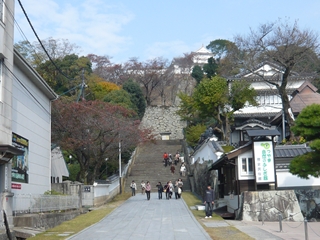 ファイル名: P1100439.jpg
ファイルサイズ: 94.9KB P1100439