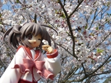ファイル名: 1262777421_P1080386R.jpg
ファイルサイズ: 47.5KB P1080386R