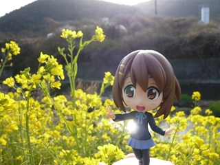 ファイル名: P1110960R.jpg
ファイルサイズ: 93.1KB P1110960R