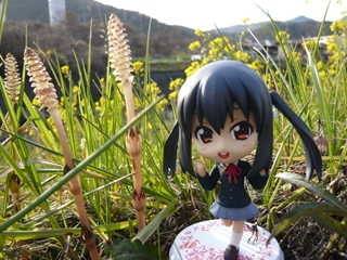 ファイル名: P1110974R.jpg
ファイルサイズ: 113.5KB P1110974R