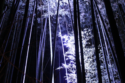 ファイル名: IMG0098.jpg
ファイルサイズ: 202.6KB IMG0098