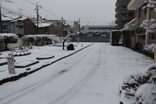 ファイル名: IMG0367.jpg
ファイルサイズ: 178.8KB IMG0367