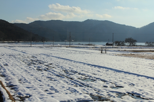 ファイル名: IMG0505.jpg
ファイルサイズ: 191.3KB IMG0505