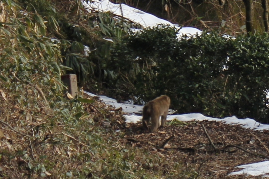 ファイル名: IMG0515.jpg
ファイルサイズ: 159.9KB IMG0515
