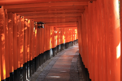 ファイル名: IMG0627.jpg
ファイルサイズ: 145.1KB IMG0627