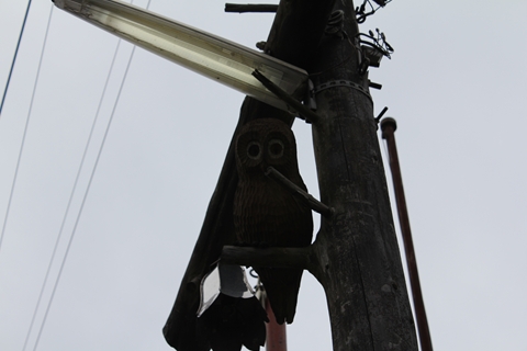 ファイル名: IMG0721.jpg
ファイルサイズ: 93.5KB IMG0721