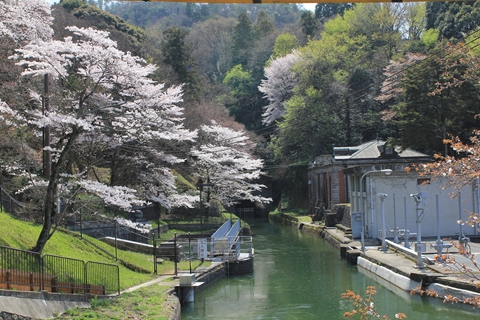 ファイル名: IMG1611.jpg
ファイルサイズ: 207KB IMG1611