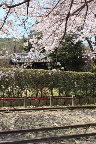 ファイル名: IMG1616.jpg
ファイルサイズ: 246.9KB IMG1616