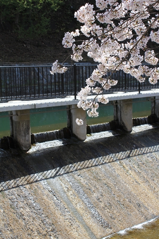 ファイル名: IMG1620.jpg
ファイルサイズ: 212.2KB IMG1620