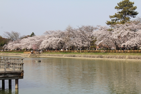 ファイル名: IMG1645.jpg
ファイルサイズ: 154.7KB IMG1645