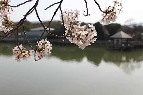 ファイル名: IMG1654.jpg
ファイルサイズ: 124KB IMG1654