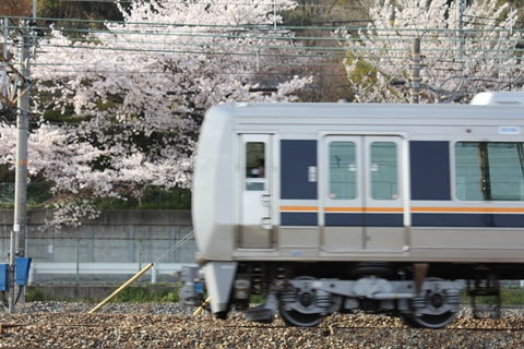 ファイル名: IMG1663.jpg
ファイルサイズ: 181.9KB IMG1663
