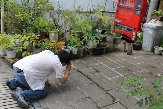 ファイル名: IMG5900.jpg
ファイルサイズ: 246.7KB IMG5900