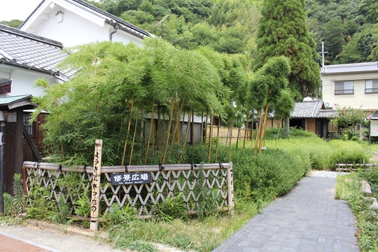 ファイル名: IMG5875.jpg
ファイルサイズ: 264.7KB IMG5875