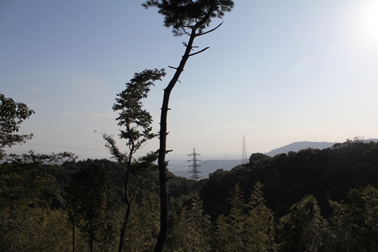 ファイル名: IMG9359.jpg
ファイルサイズ: 147.6KB IMG9359