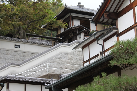ファイル名: IMG9501.jpg
ファイルサイズ: 209.4KB IMG9501