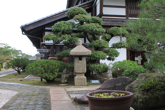 ファイル名: IMG9559.jpg
ファイルサイズ: 223.2KB IMG9559
