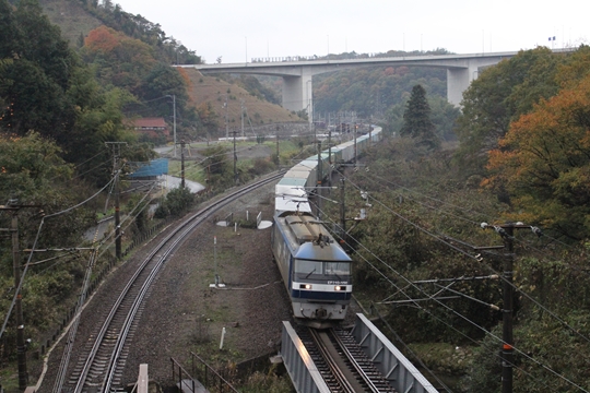 ファイル名: IMG0491R.jpg
ファイルサイズ: 205.3KB IMG0491R