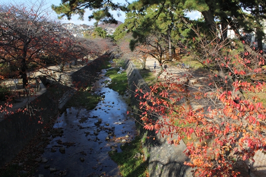 ファイル名: IMG1536.jpg
ファイルサイズ: 275.7KB IMG1536