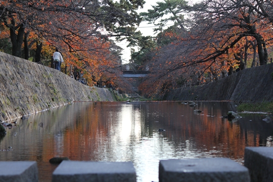 ファイル名: IMG1635.jpg
ファイルサイズ: 230.4KB IMG1635