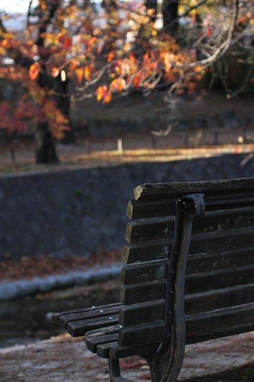 ファイル名: IMG1652.jpg
ファイルサイズ: 78.3KB IMG1652
