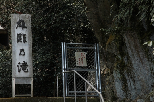 ファイル名: IMG5232.jpg
ファイルサイズ: 207.3KB IMG5232