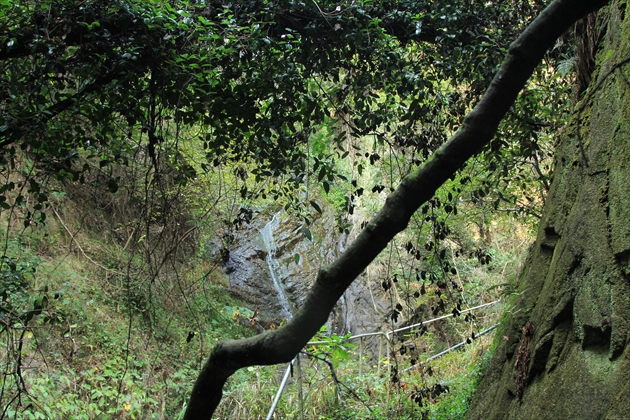 ファイル名: IMG2797.jpg
ファイルサイズ: 391.6KB IMG2797