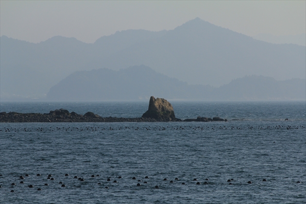 ファイル名: IMG2830.jpg
ファイルサイズ: 198.5KB IMG2830