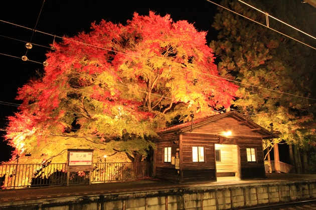 ファイル名: IMG3307.jpg
ファイルサイズ: 331.6KB IMG3307