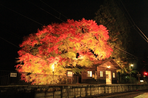 ファイル名: IMG3320.jpg
ファイルサイズ: 282.6KB IMG3320