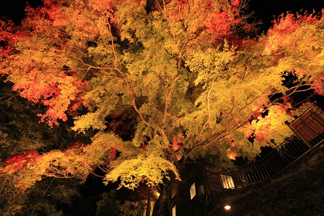 ファイル名: IMG3325.jpg
ファイルサイズ: 374.3KB IMG3325