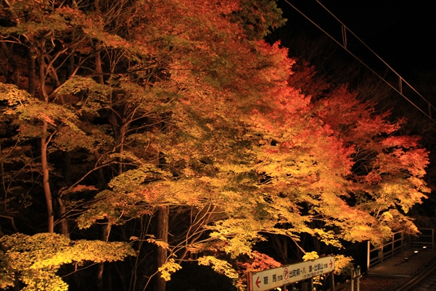 ファイル名: IMG3351.jpg
ファイルサイズ: 341.4KB IMG3351