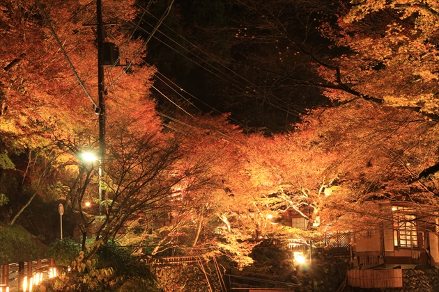 ファイル名: IMG3359.jpg
ファイルサイズ: 362.6KB IMG3359