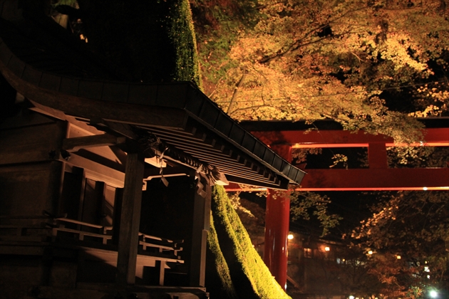 ファイル名: IMG3376.jpg
ファイルサイズ: 269.5KB IMG3376
