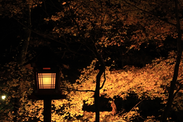 ファイル名: IMG3398.jpg
ファイルサイズ: 287.9KB IMG3398