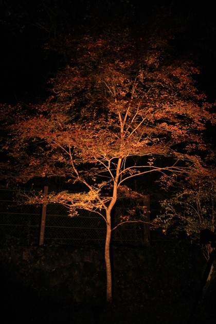 ファイル名: IMG3412.jpg
ファイルサイズ: 106.1KB IMG3412