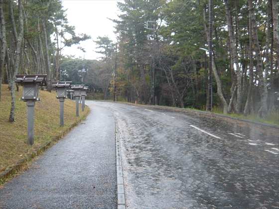 ファイル名: P1190094.jpg
ファイルサイズ: 261.2KB P1190094
