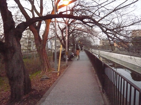 ファイル名: P1190371.jpg
ファイルサイズ: 187.2KB P1190371